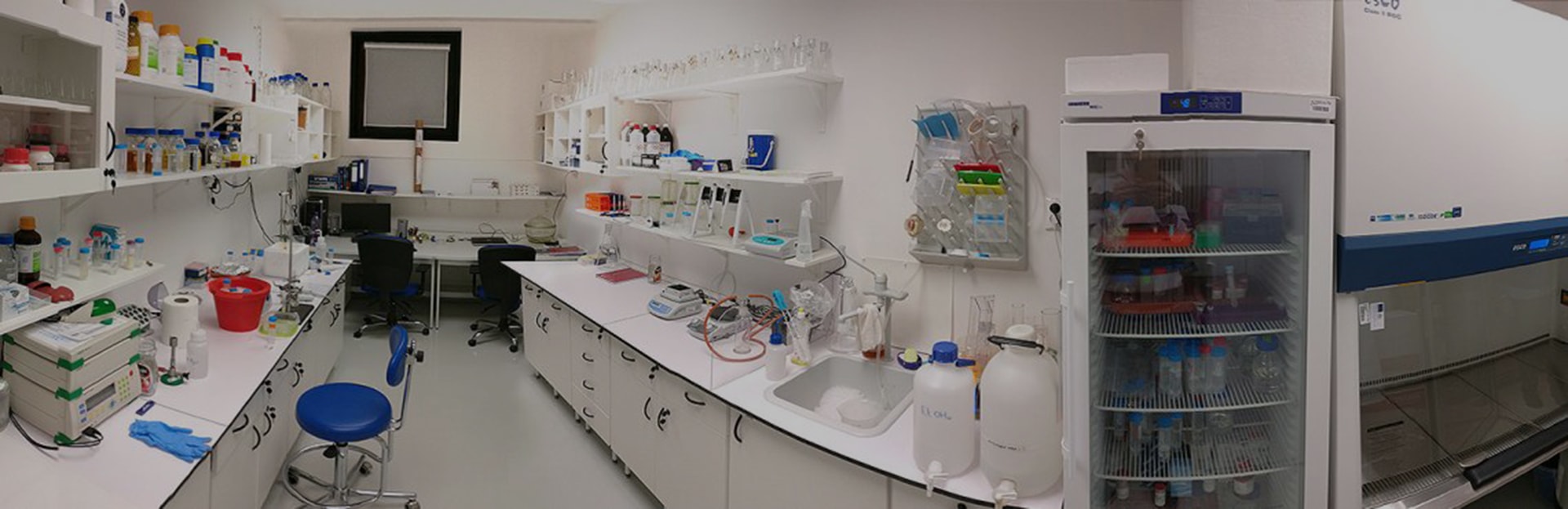 peptide synthesis lab